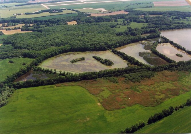 Soustava čtyř rybníků v PR Bažantula se nachází v Chráněné krajinné oblasti Poodří.