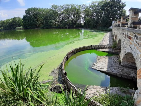 Pražské rybníky a nádrže jsou krásně opravené. Problém ae je, že do nich teče fosfor. Ten je největší problém v době, kdy je sucho nebo nízké průtoky. Jakmile se voda s velkým nadbytkem fosforu dostane do nádrže nebo rybníka, tak ta vykvete.