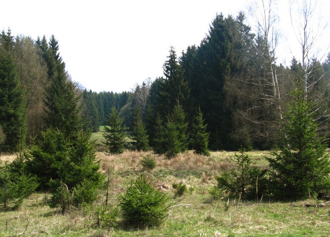 Předmětem ochrany je přírodní bohatství s cennými lesními porosty, loukami, mokřady, vřesovišti a desítkami potoků.