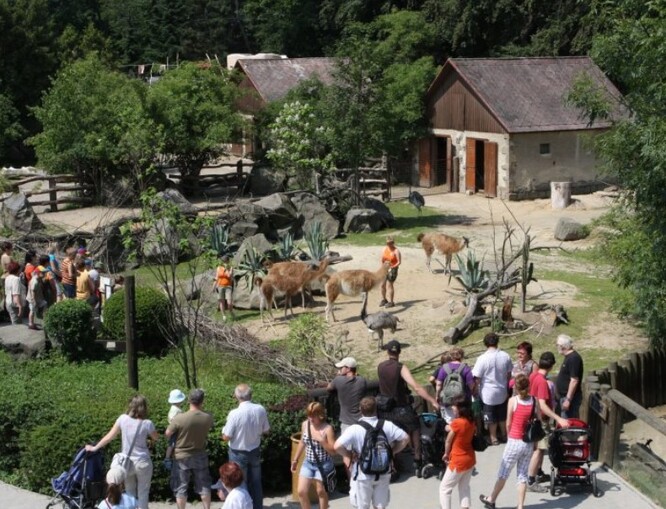 Venkovní část otevře v pondělí také jihlavská zoologická zahrada, když to bude povolené.