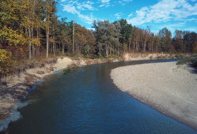 Otrávená část řeky Bečvy patří mezi přírodovědně hodnotné lokality.  Na úseku se vyskytoval např. kriticky ohrožený hrouzek Kesslerův, který je na našem území potvrzen pouze z postiženého úseku řeky Bečvy.