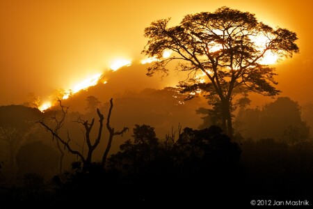 Vypalování vede k enormní degradaci deštných pralesů.
