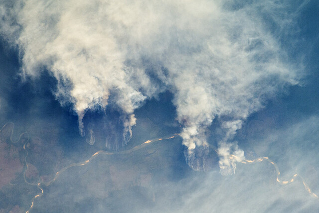 Podle Ane Alencarové z brazilského Institutu pro výzkum Amazonie (IPAM) jsou téměř všechny požáry lesa v oblasti způsobené lidmi. Stromy poražené kvůli získání zemědělské půdy se nechají uschnout a pak se pálí, stejně jako se vypaluje nízký porost. Ilustrační obrázek