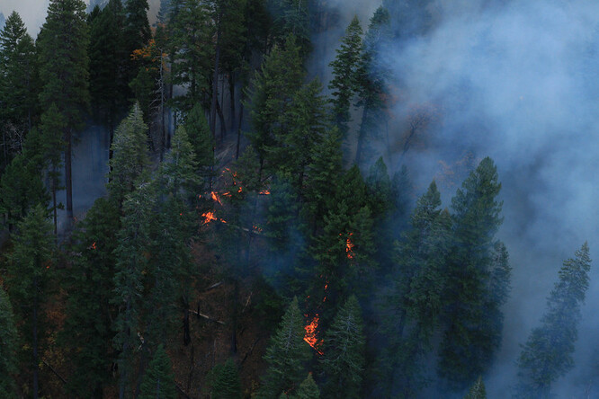 Ač je Kalifornie na lesní požáry v tomto období zvyklá, ty nynější označil její guvernér za něco, co "tento stát ještě nezažil". Vinu připsal i klimatickým změnám.