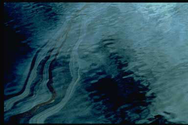 Podle experta z univerzity v Haifě Dora Adelista jde o nejhorší ekologickou katastrofu svého druhu za víc než 40 let, spousta ropy se ještě blíží k pobřeží. Ilustrační foto