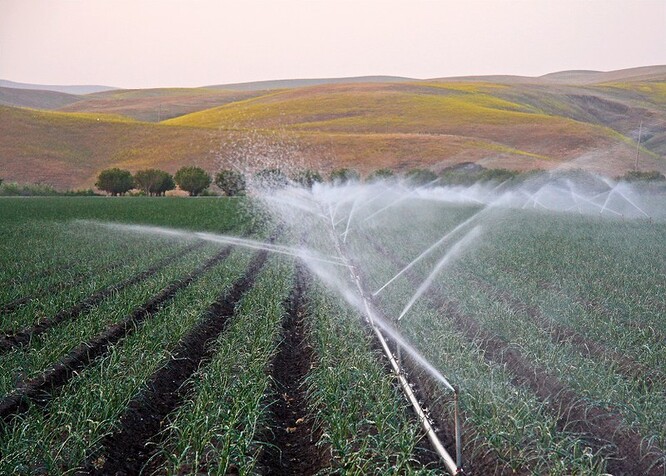 Zemědělství se, v závislosti na konkrétním regionu, podílí na 70 % spotřeby vody. Průmysl "vypije" kolem 20 %, spotřeba domácností 10 %.