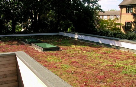 Zelená střecha s rozchodníkem. Ilustrační snímek.