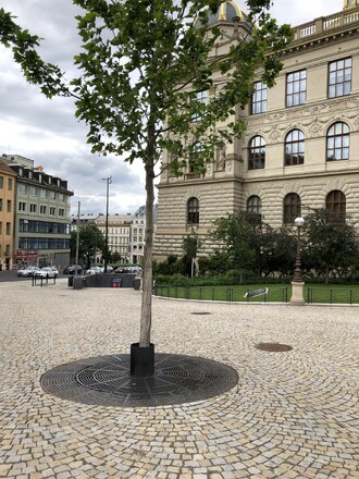 Řešení příznivé pro stromy je určeno místem. Zde u Národního muzea v Praze.