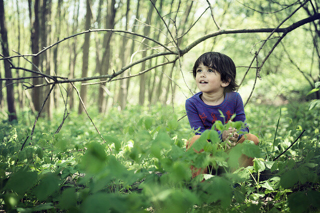 V zahraničí probíhá už desítky let odborná debata o přínosech kontaktu s přírodou nejen pro děti.