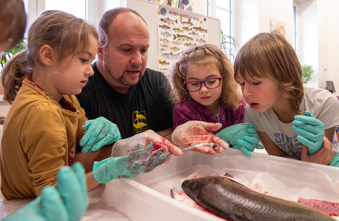 Je potřeba jim říct pravdu. Karel Makoň spolu s dětmi zkoumá tělo ryby.