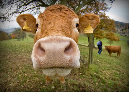 Je venku vedro, že by krávu nevyhnal?