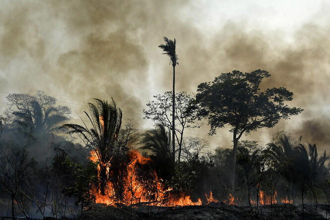 V Bolívii a dalších jihoamerických zemích je vypalování lesa kvůli získání zemědělské půdy legální, s povolením úřadů je možné od května do července po skončení období dešťů, nesmí ale jít o plochu větší než 20 hektarů.