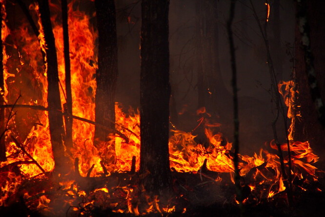 Požáry sužují ruské lesy každý rok, v posledních letech jsou však intenzivnější.