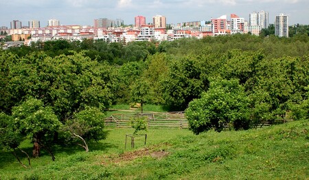 Pětinu území Prahy zabírají přírodní parky, kde mohou Pražané sportovat i relaxovat. Na snímku přírodní park Hostivař - Záběhlice.