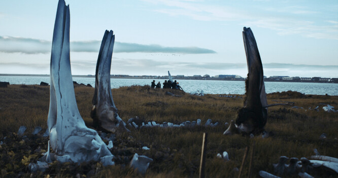 Hlavní cenu festivalu letos získal polský snímek Velryba z Lorina režiséra Macieje Cuskeho.